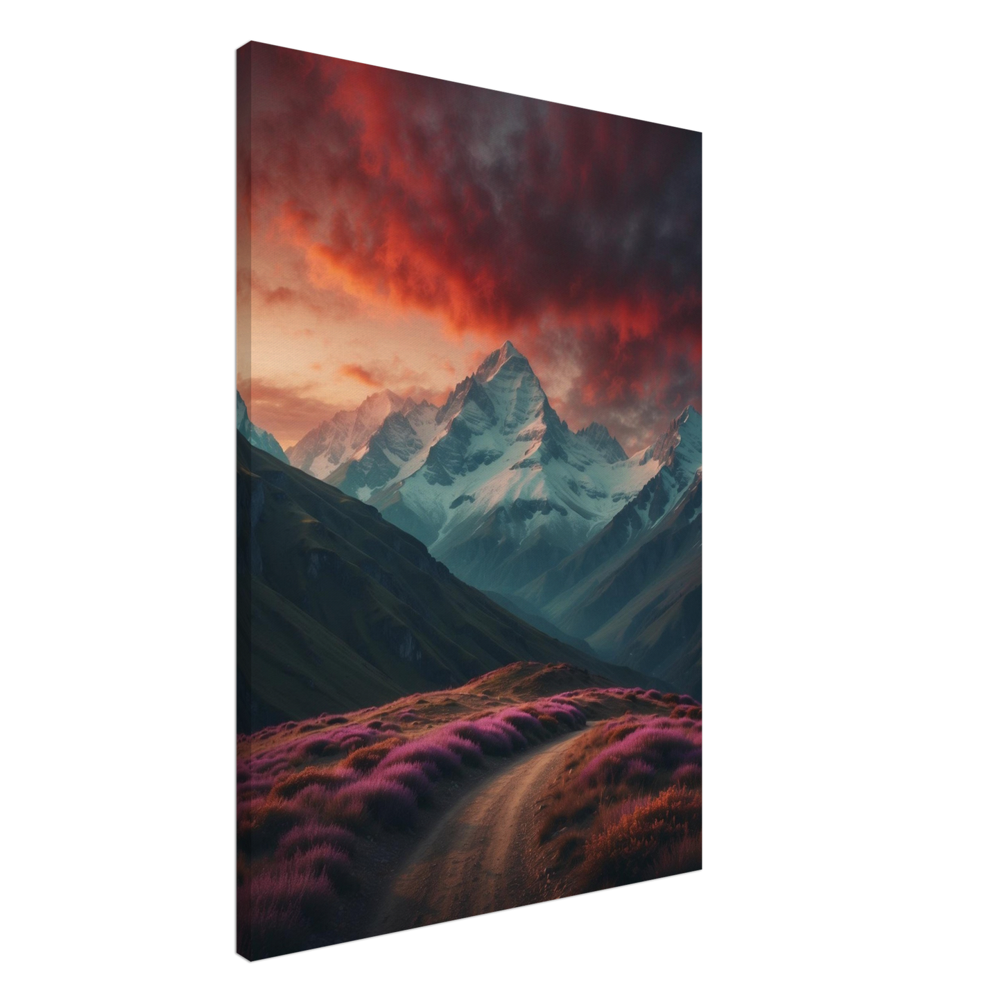 Canvas