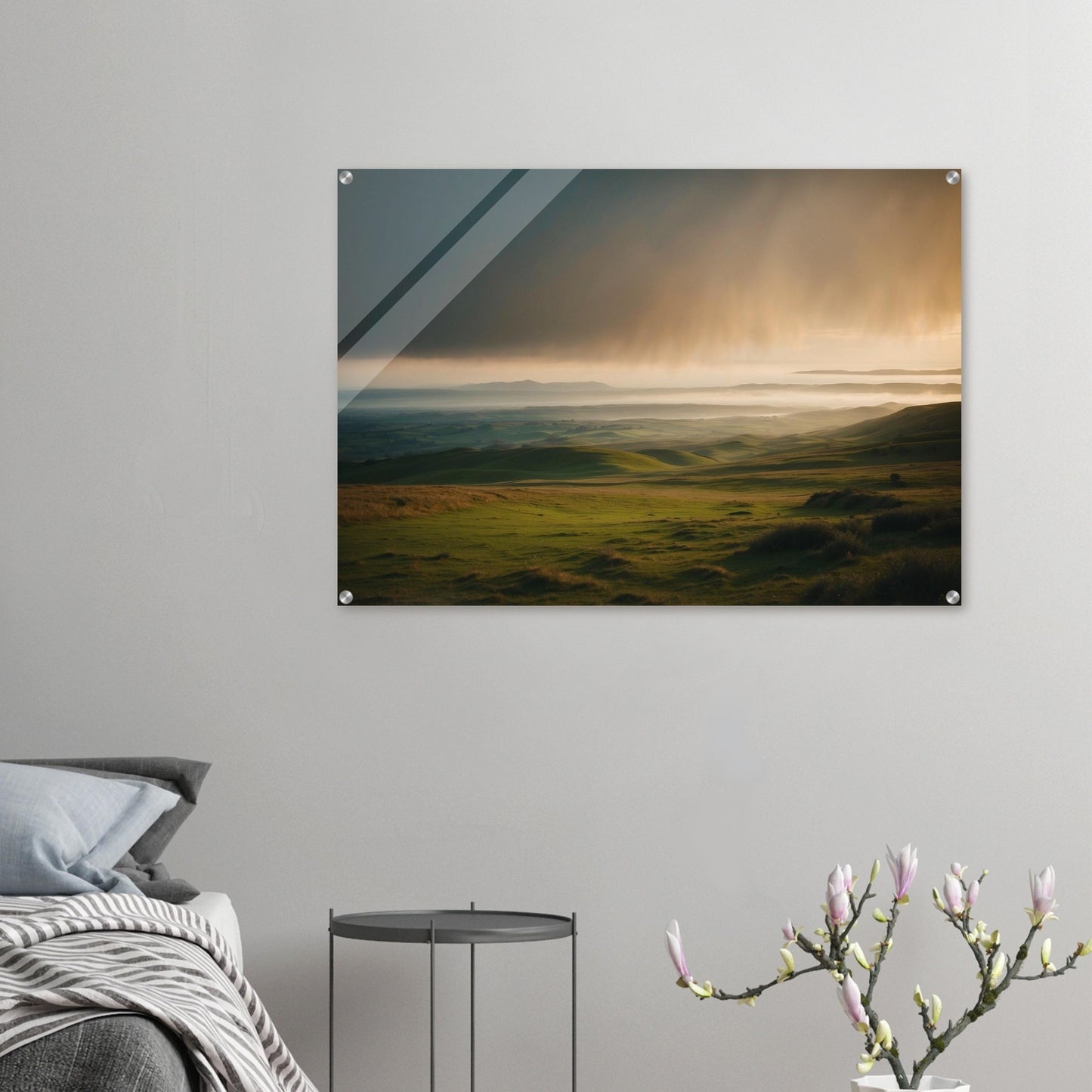 Acrylic Print