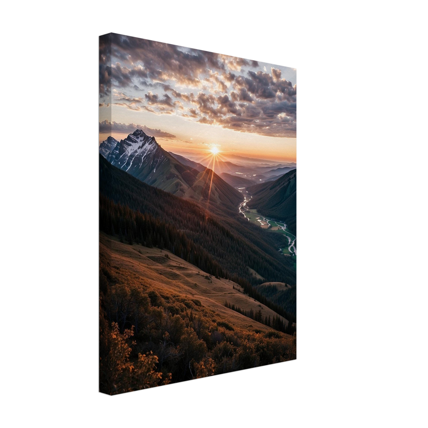 Canvas
