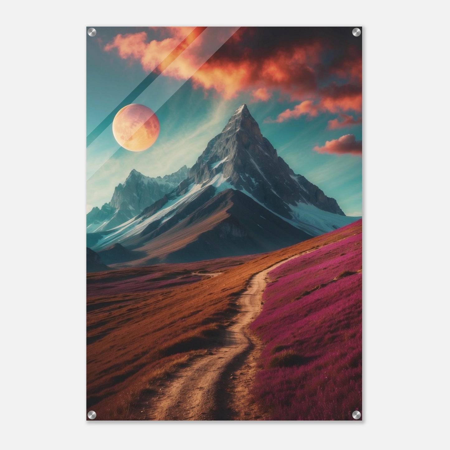 Acrylic Print
