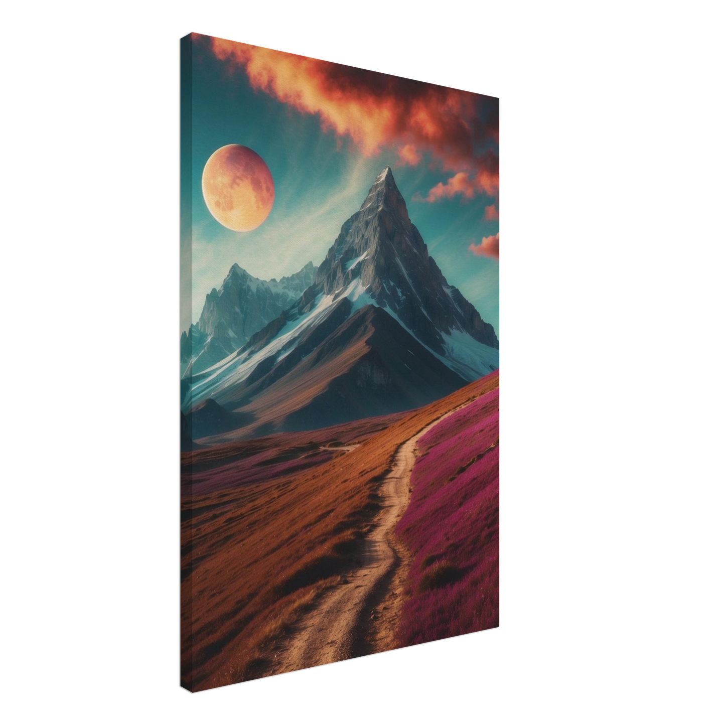 Canvas