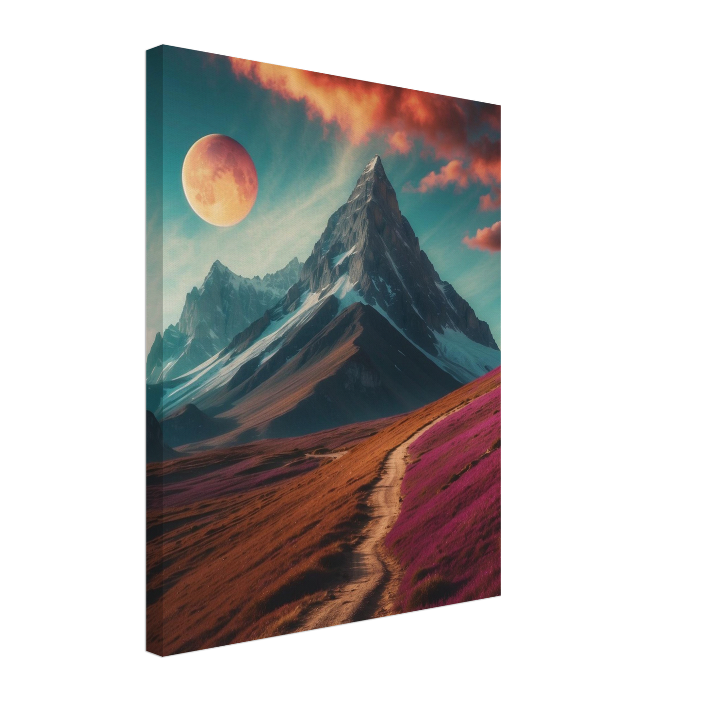 Canvas