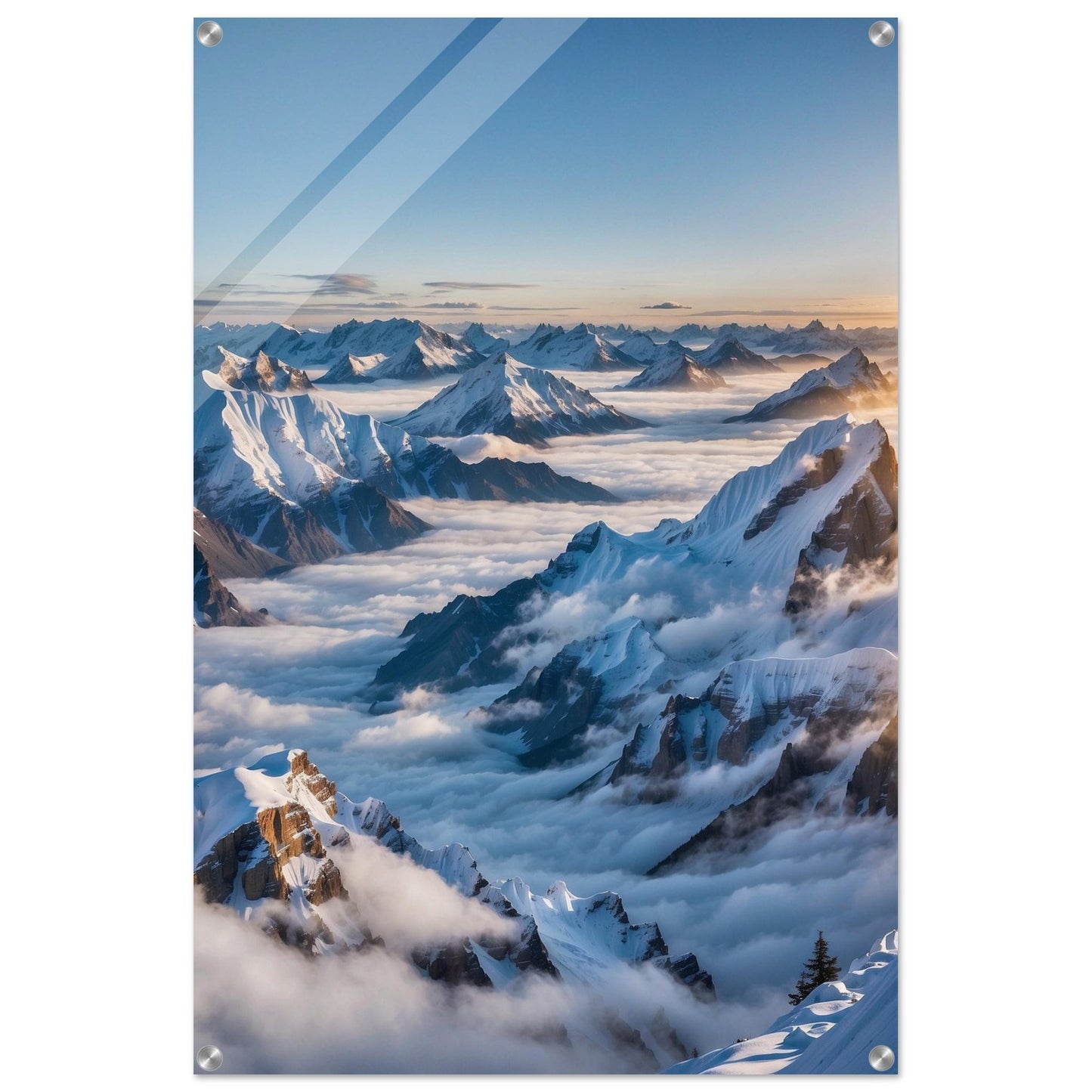 Acrylic Print