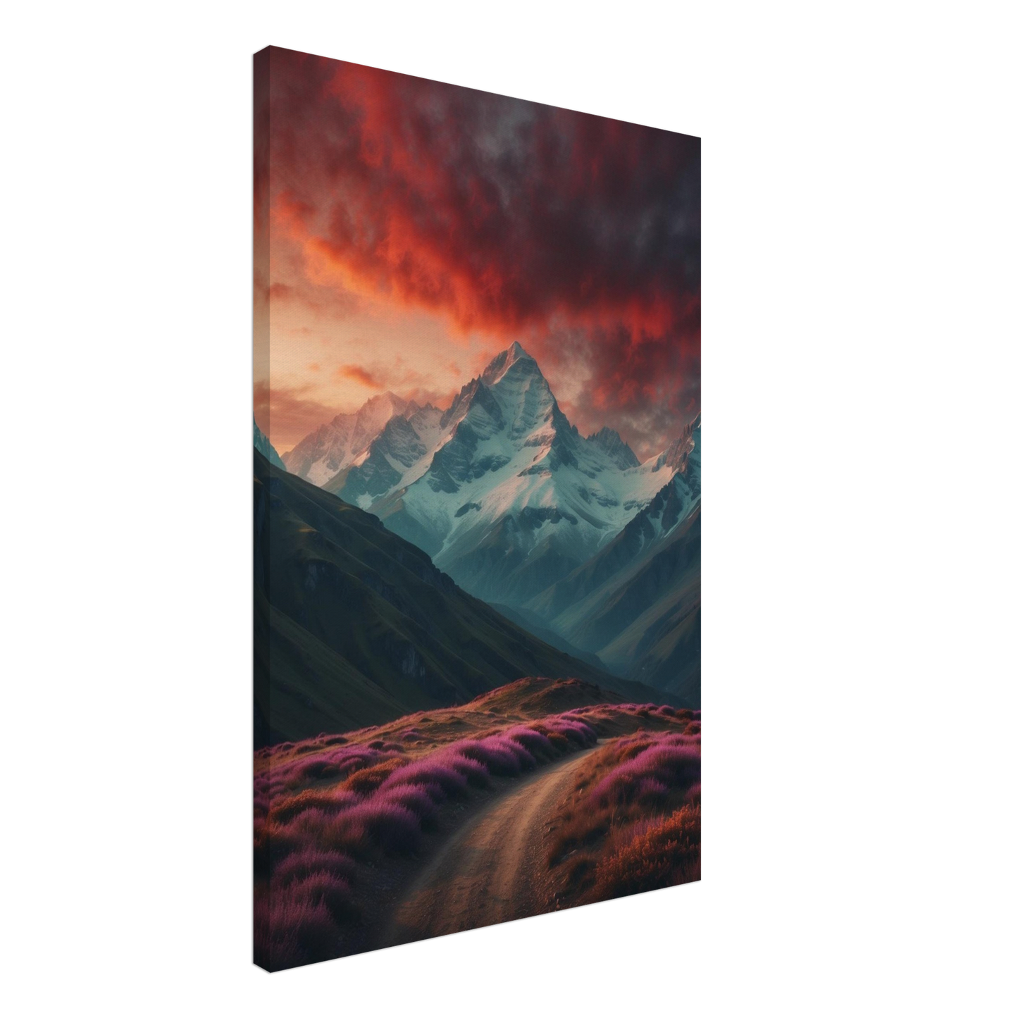 Canvas