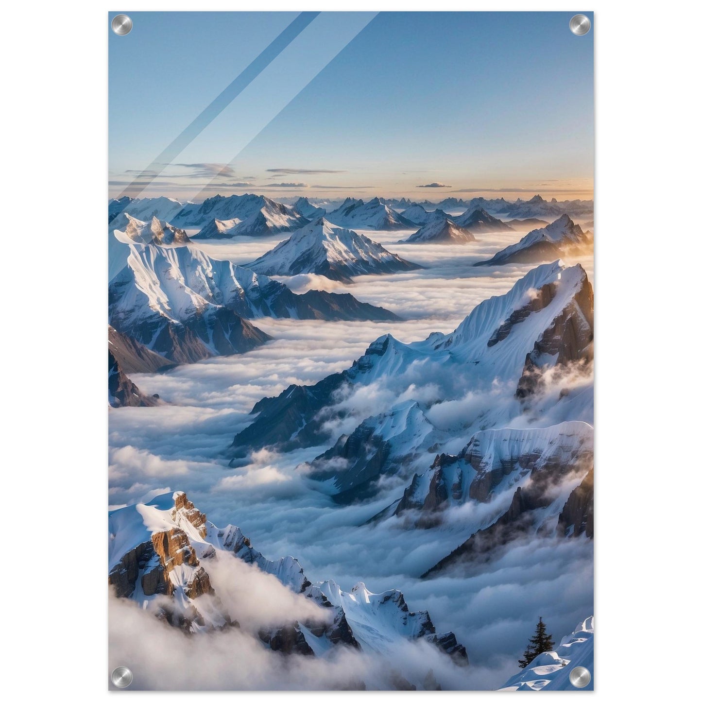 Acrylic Print
