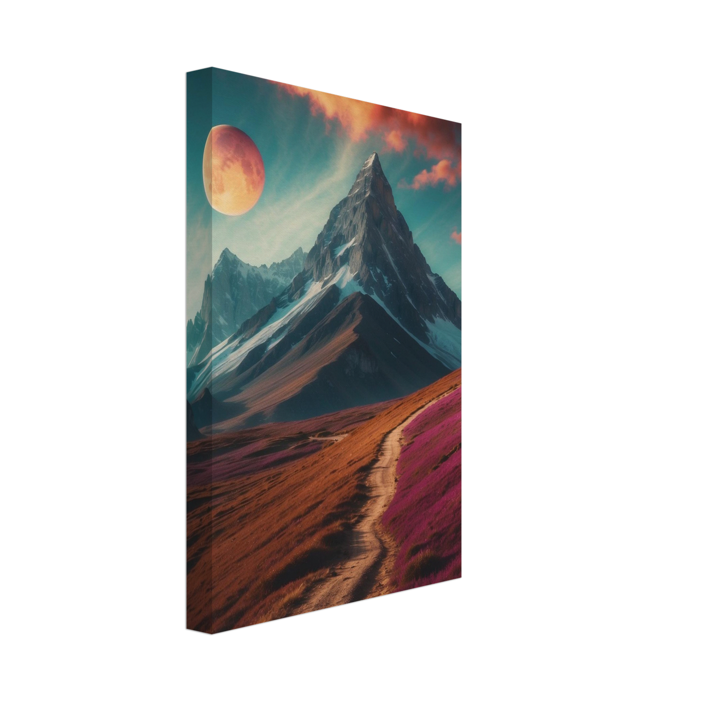 Canvas