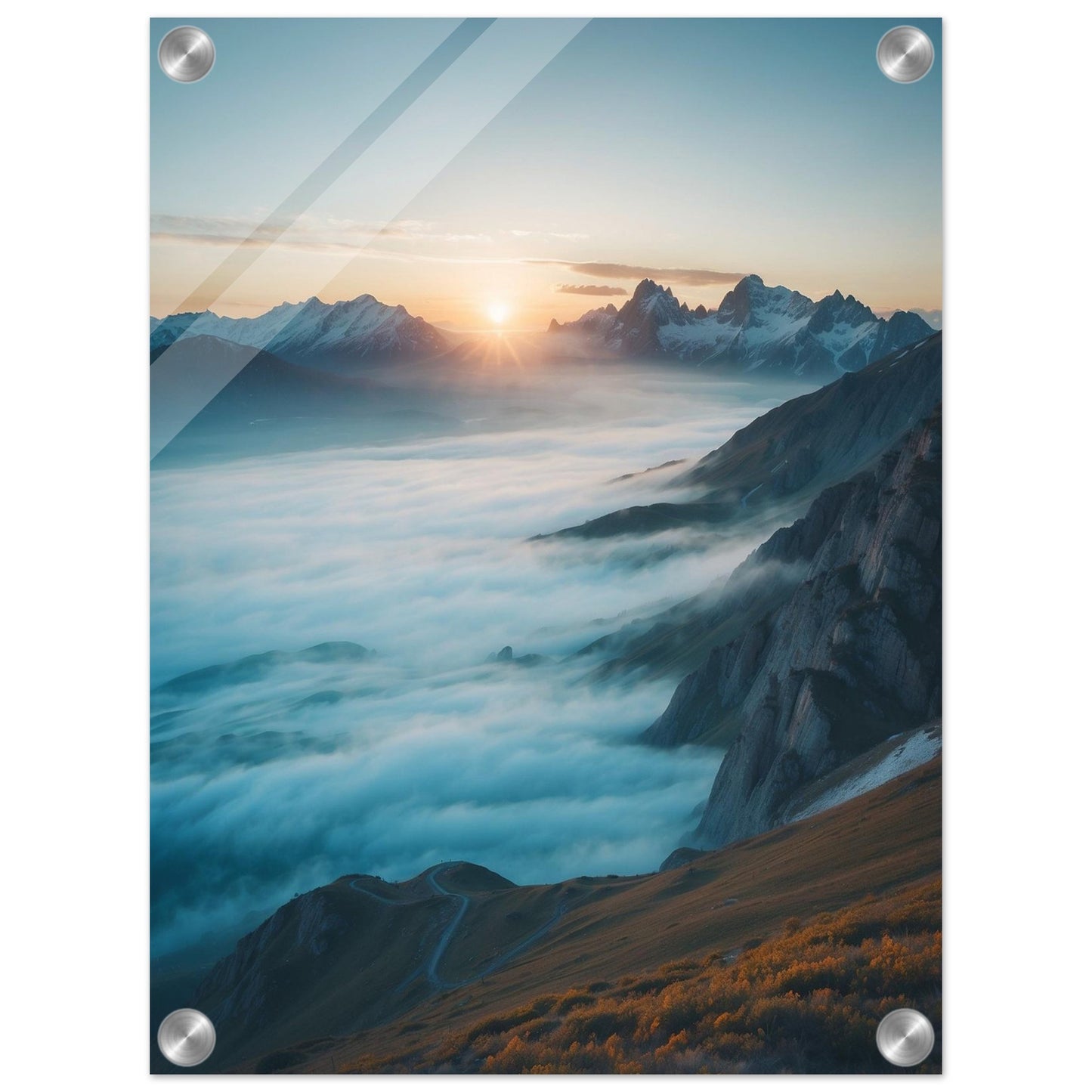 Acrylic Print
