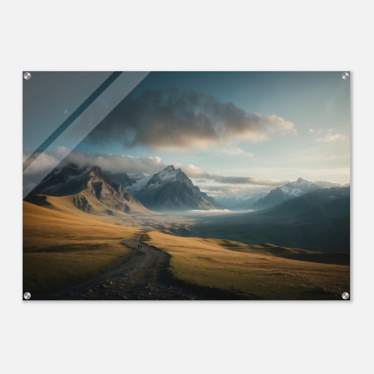 Acrylic Print
