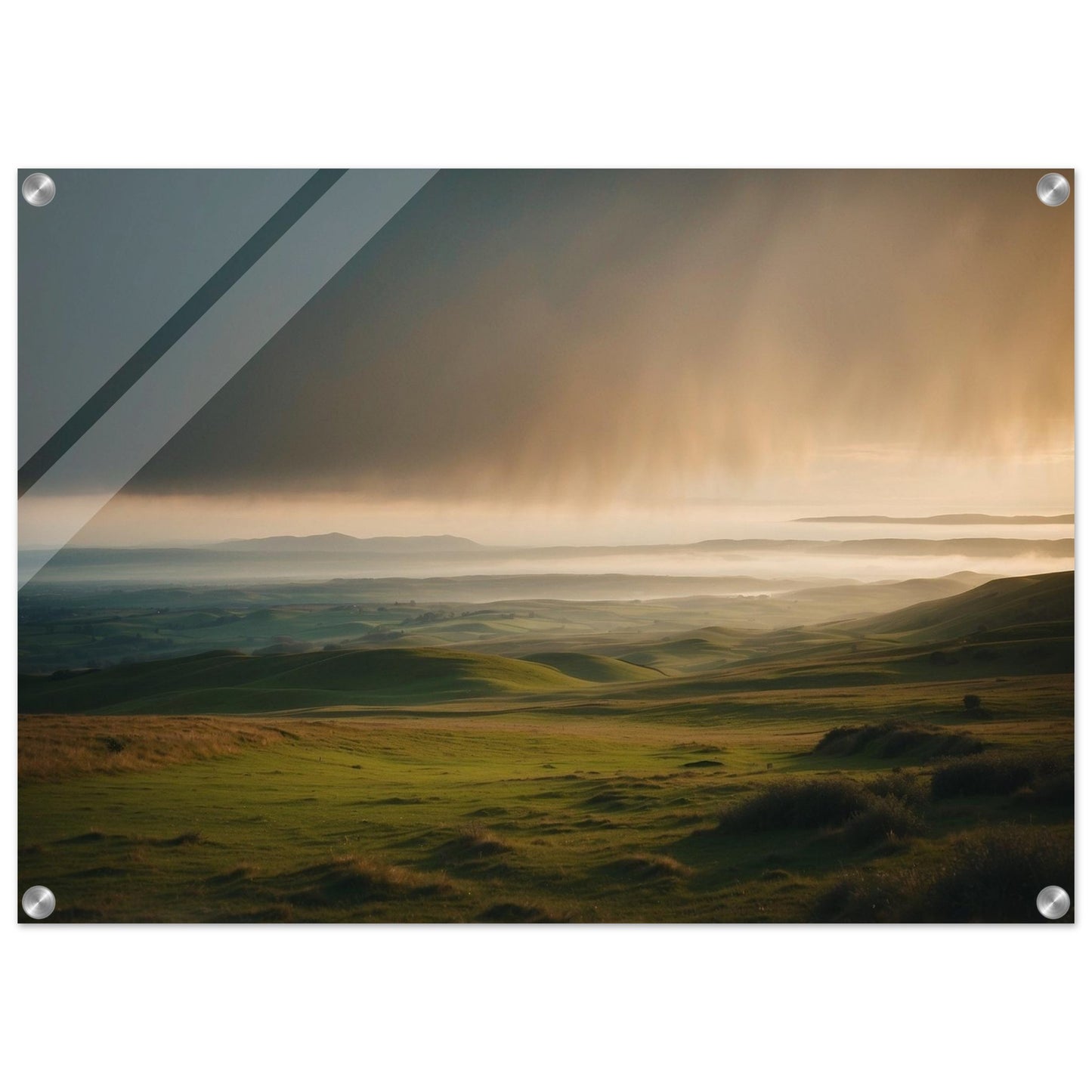 Acrylic Print