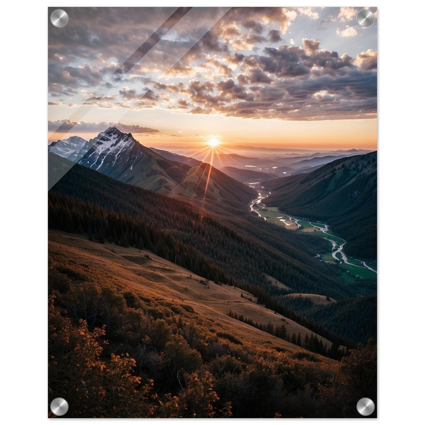 Acrylic Print