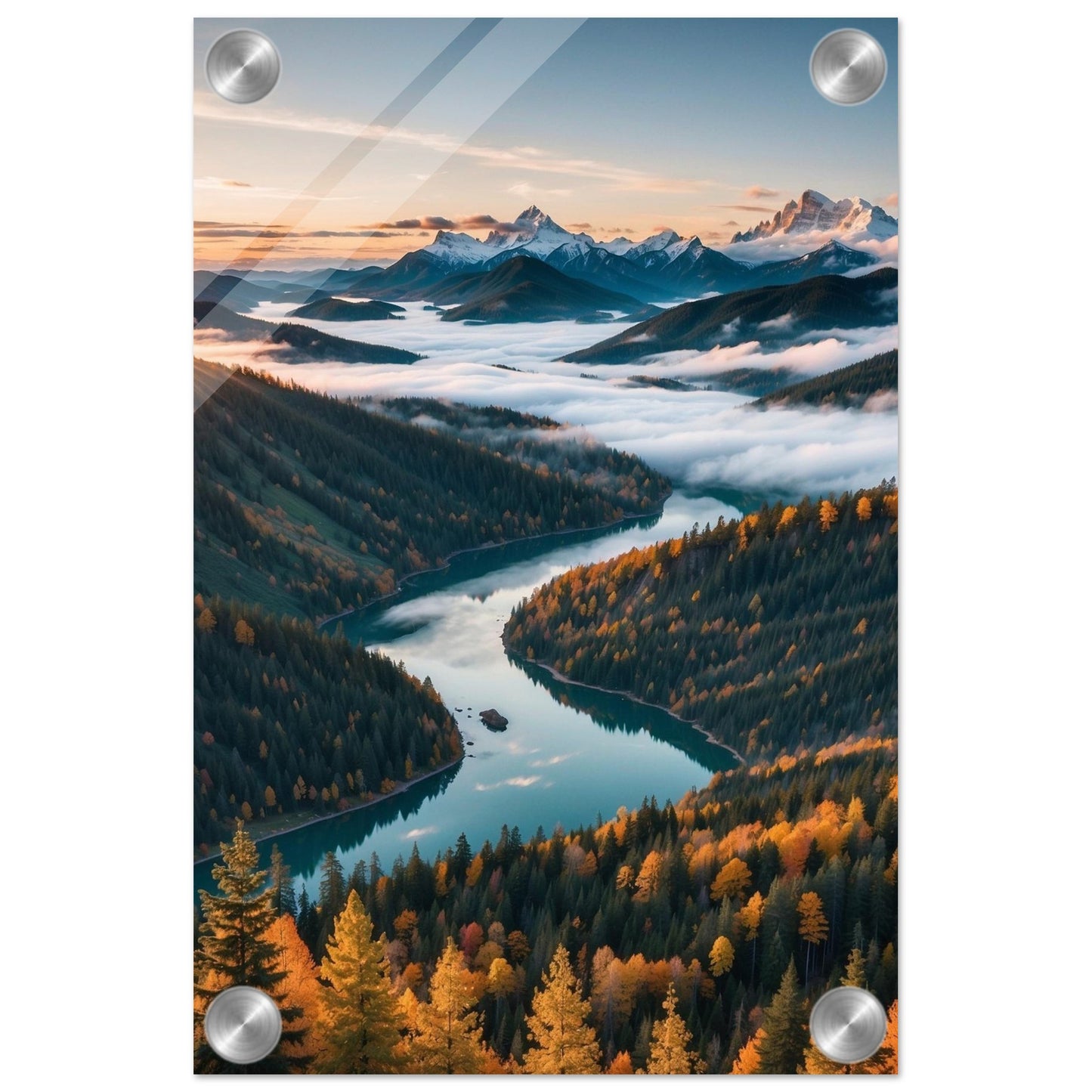 Acrylic Print