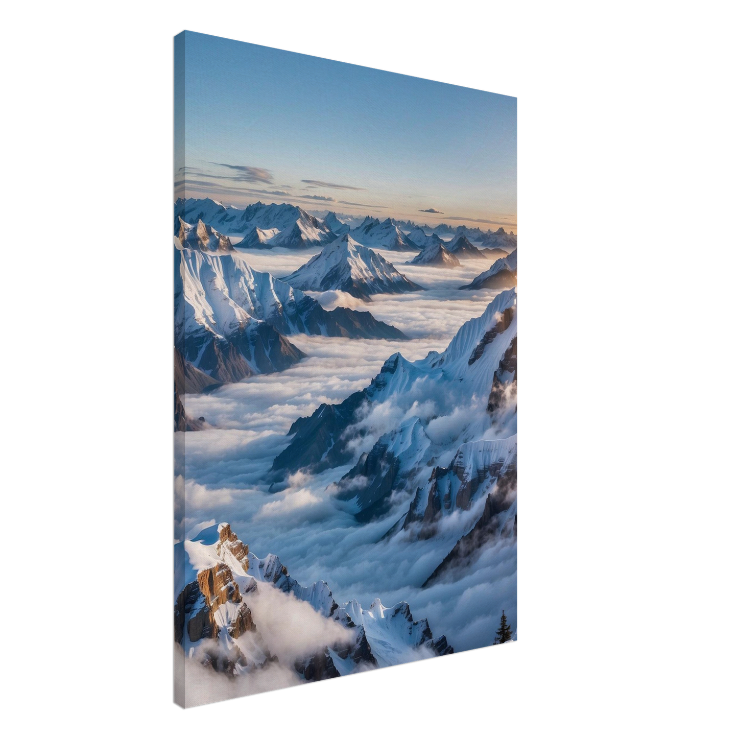 Canvas