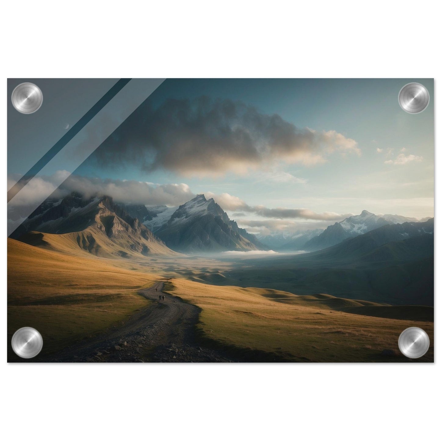 Acrylic Print