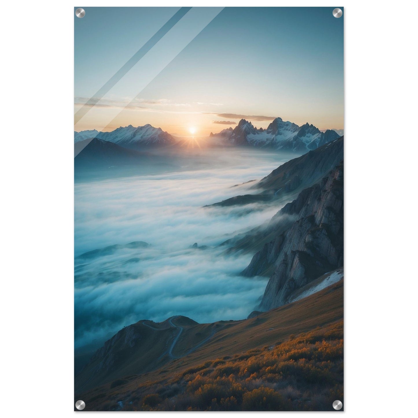 Acrylic Print