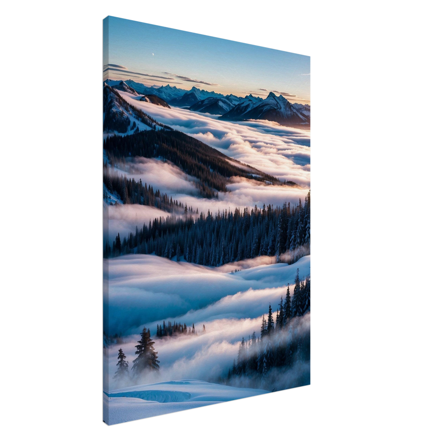 Canvas