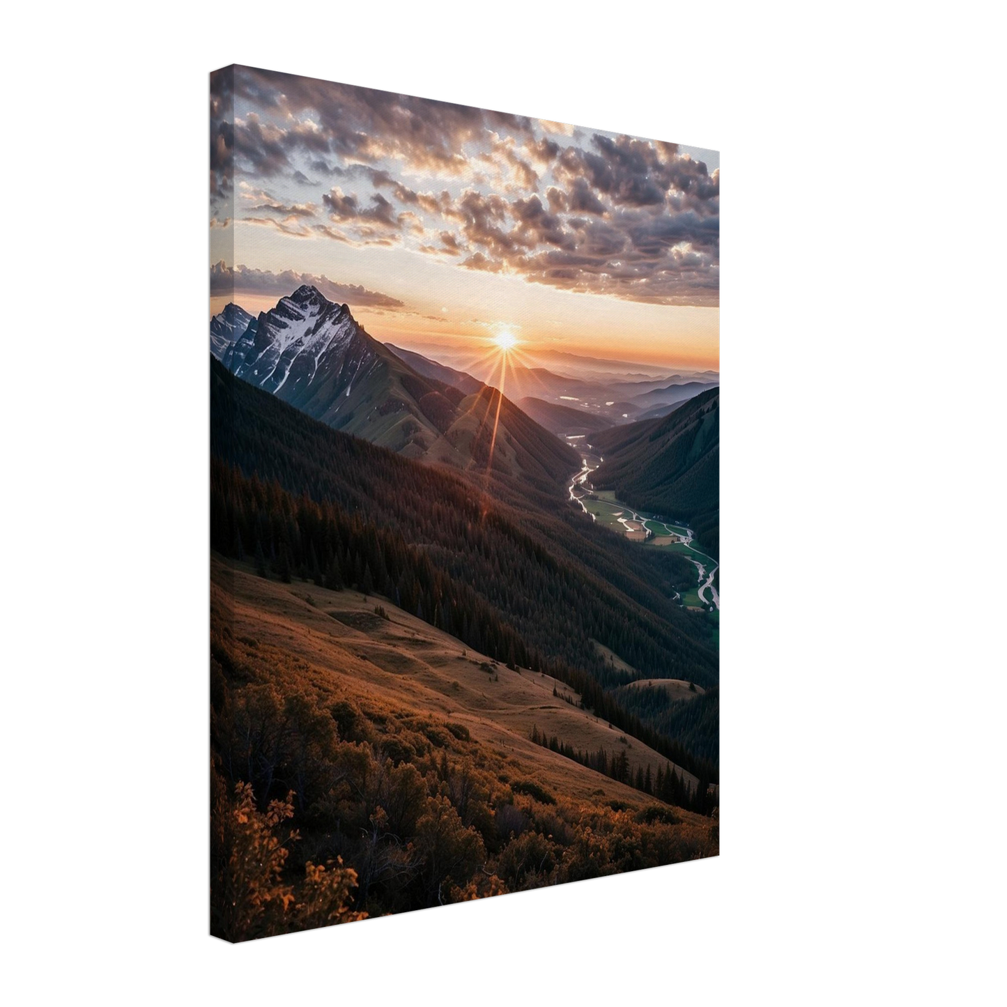 Canvas
