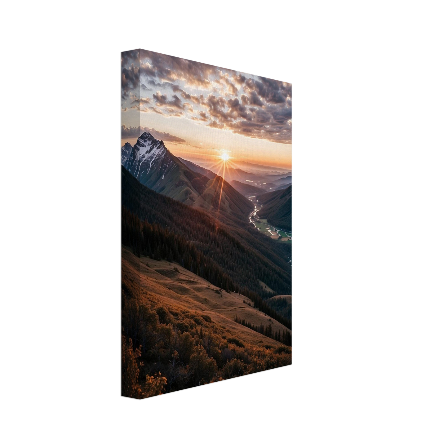 Canvas