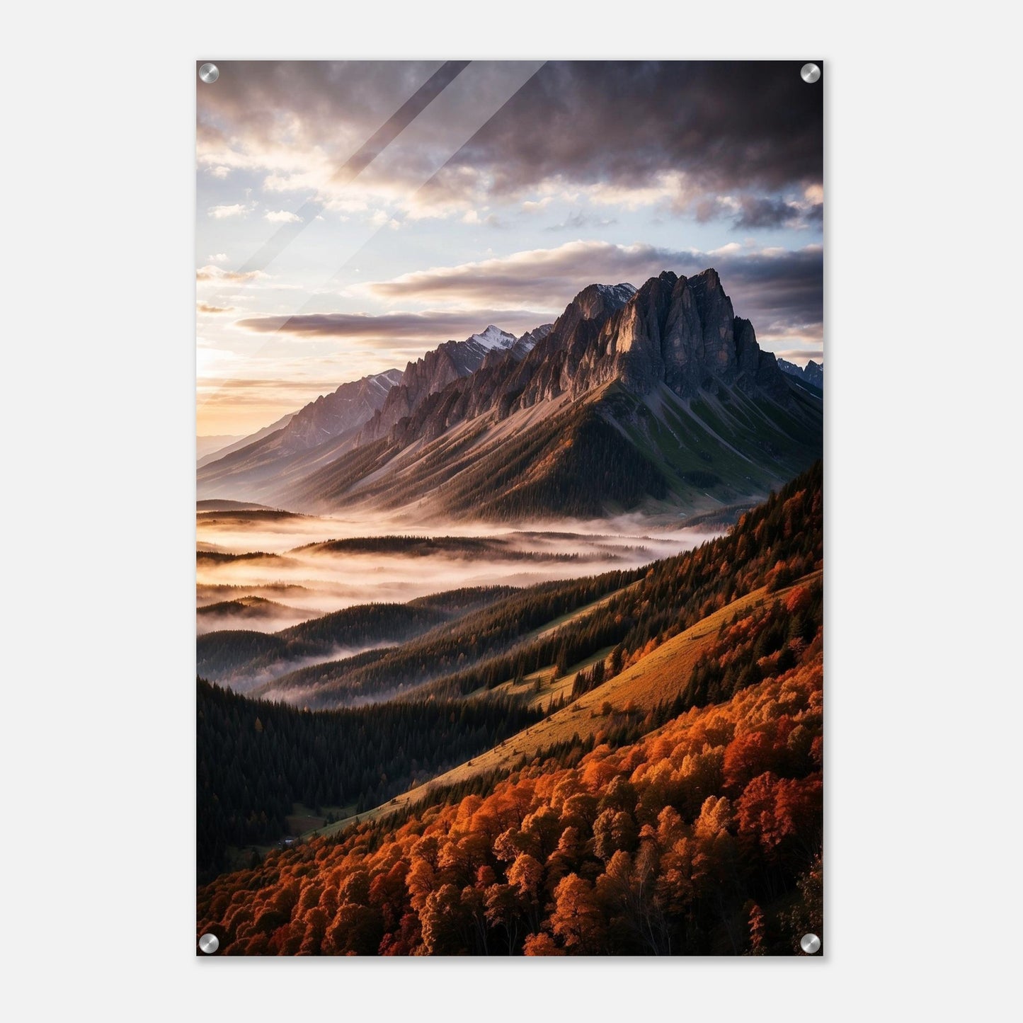 Acrylic Print