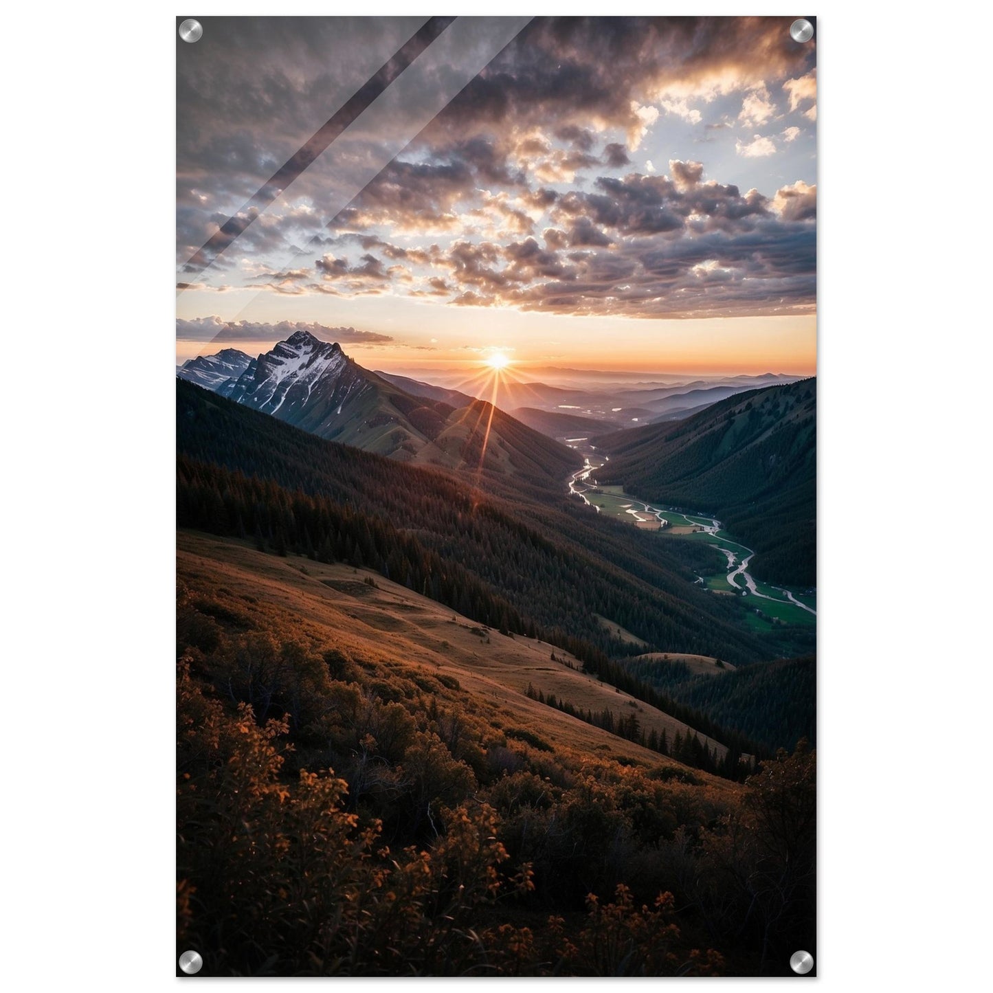 Acrylic Print
