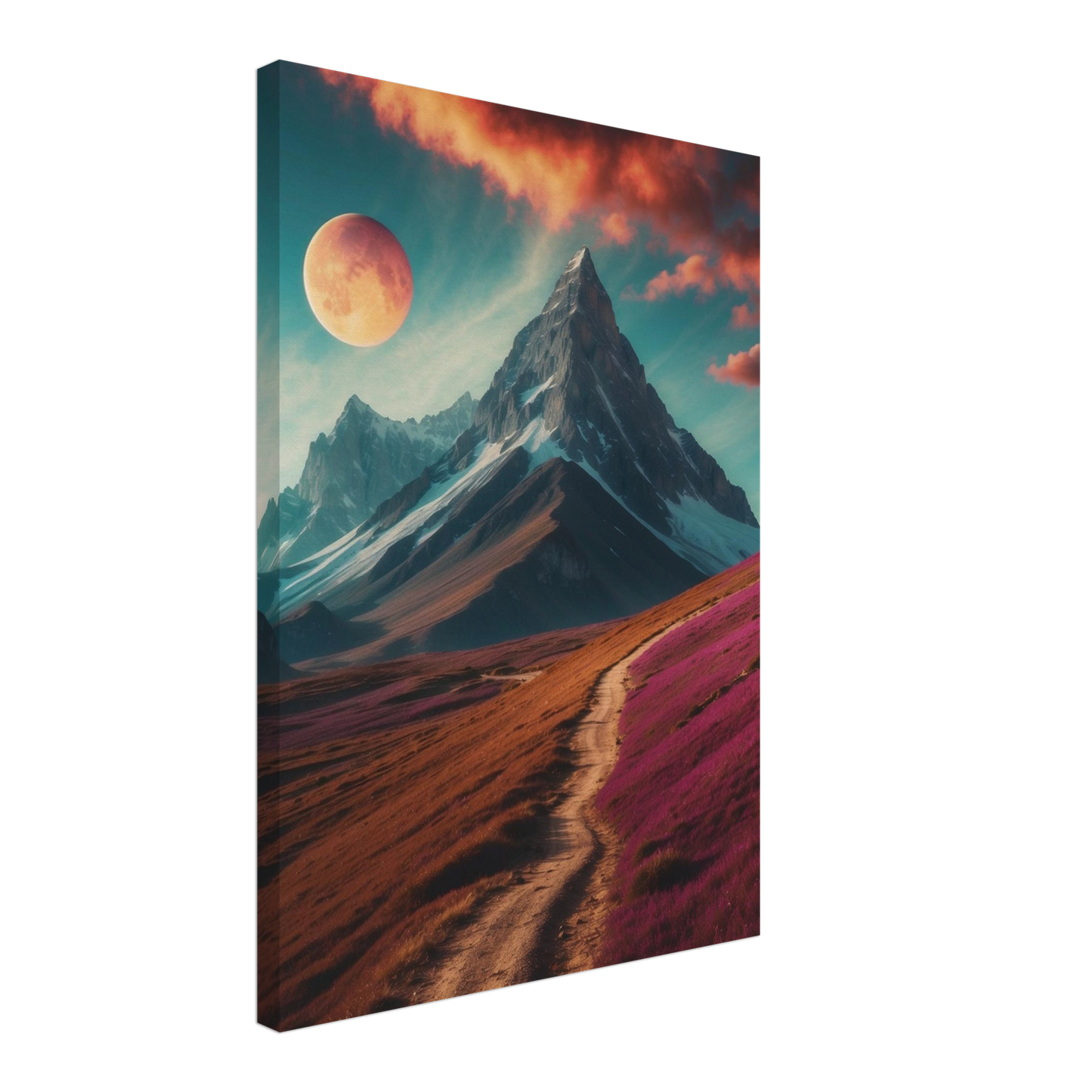 Canvas