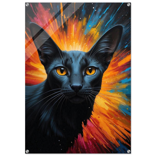 Acrylic Print