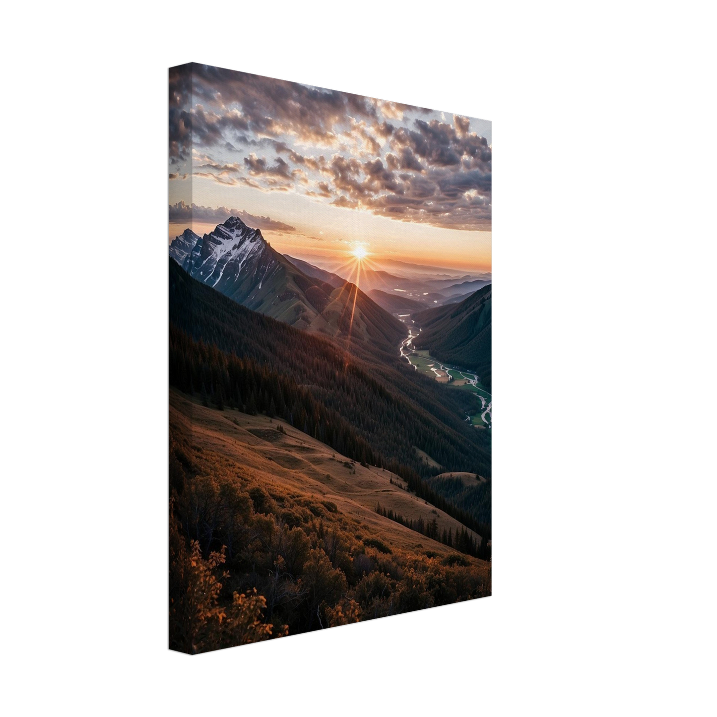 Canvas