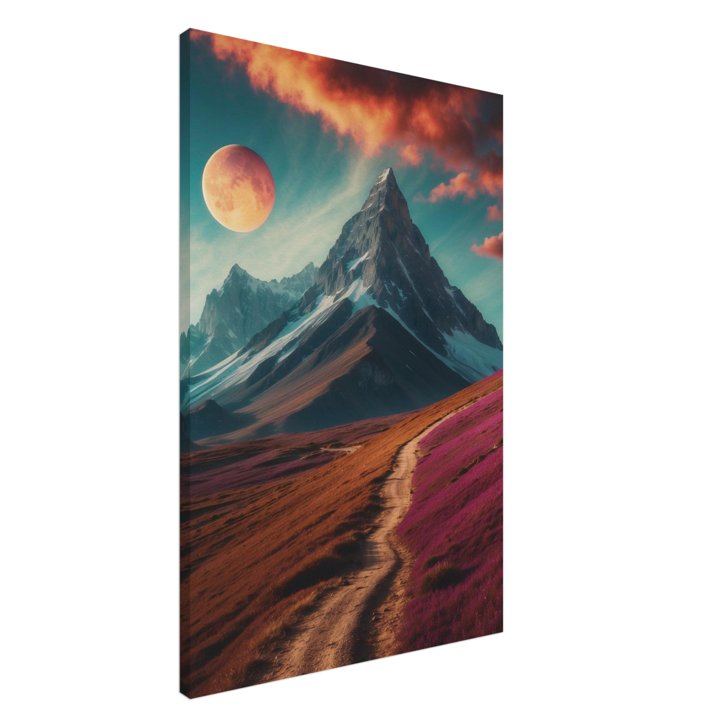 Canvas