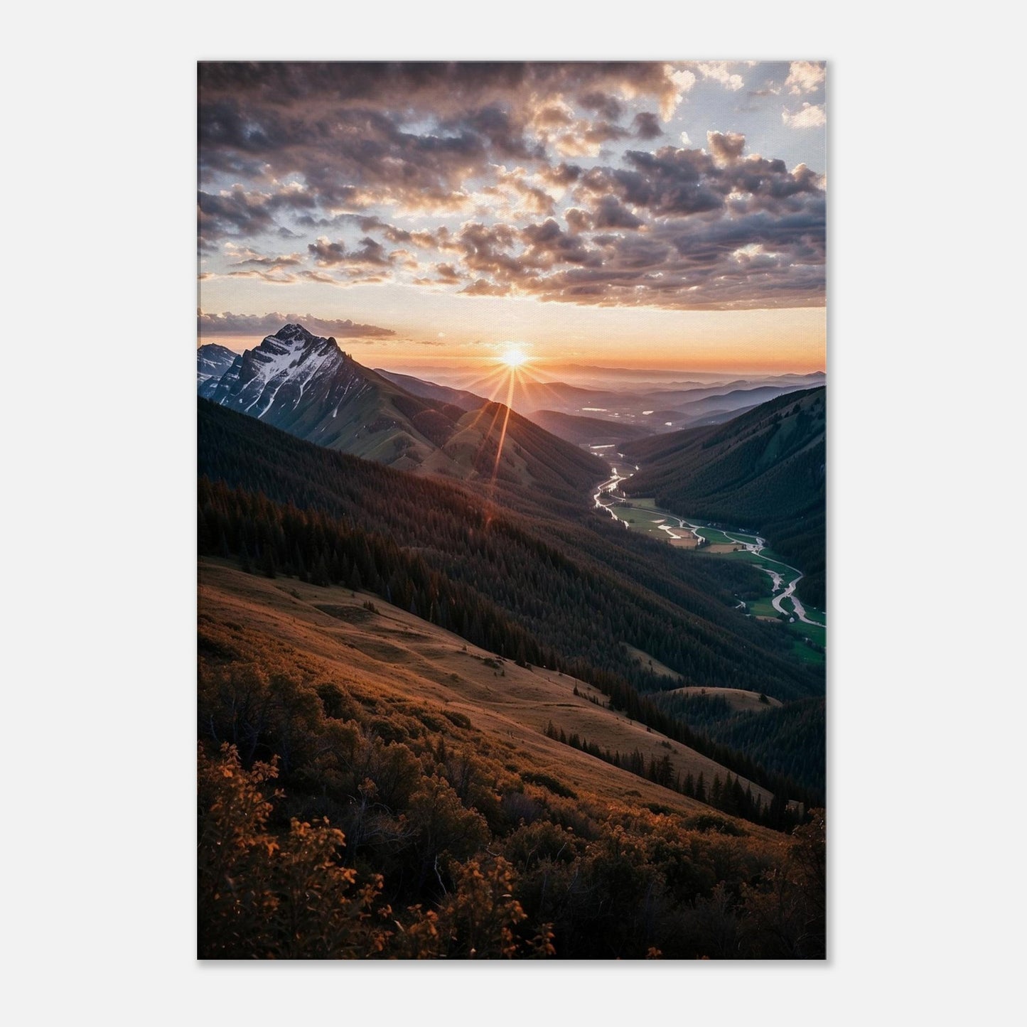 Canvas