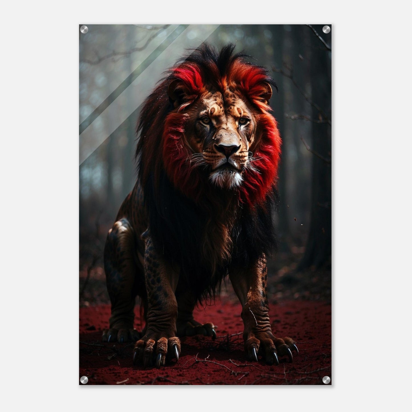 Acrylic Print
