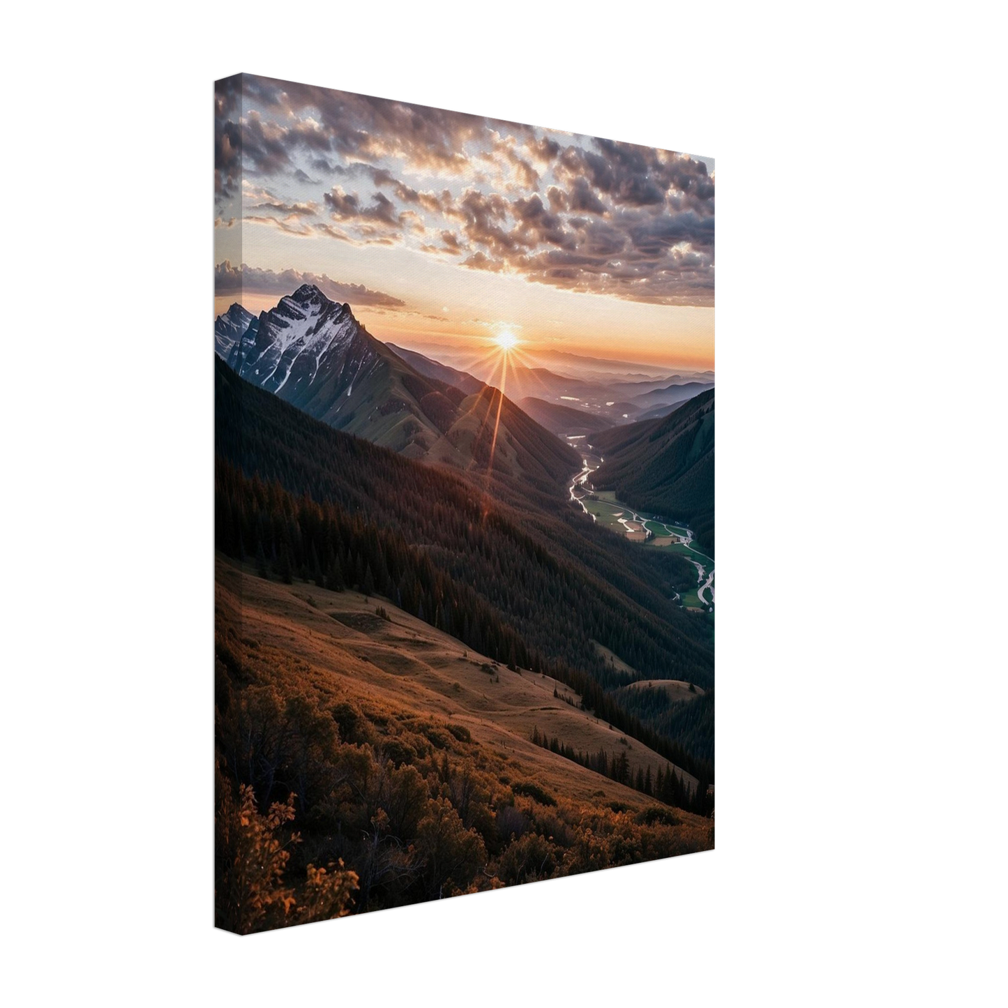Canvas