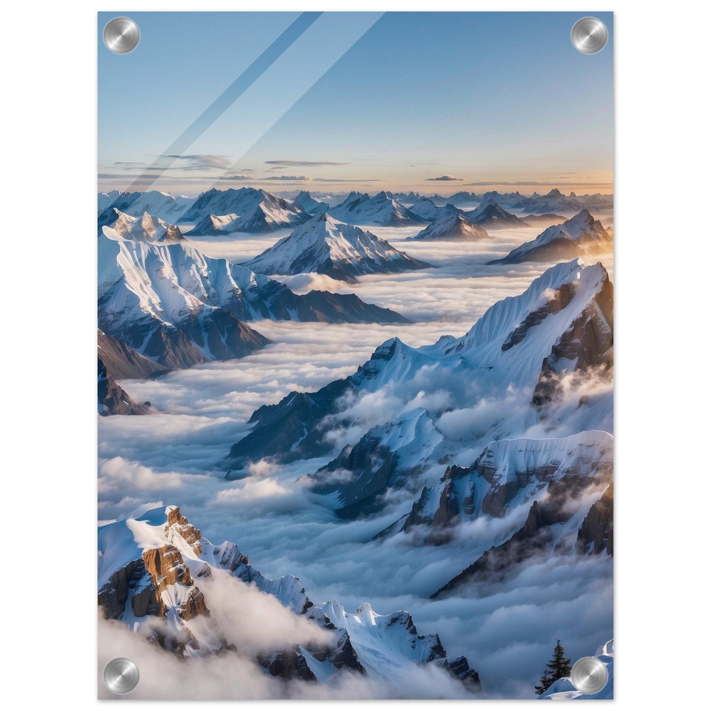 Acrylic Print
