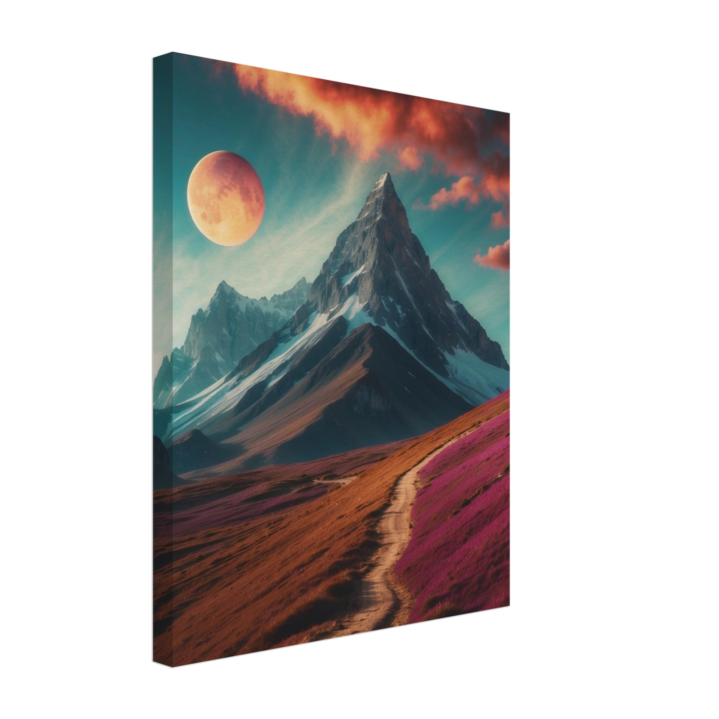 Canvas