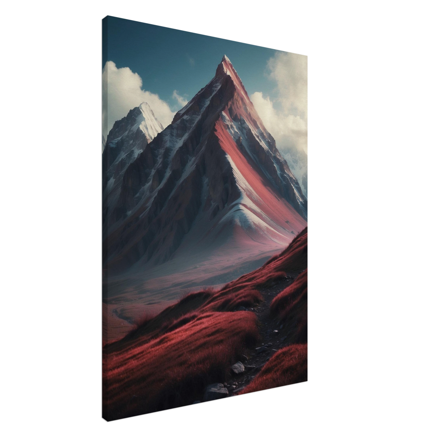 Canvas