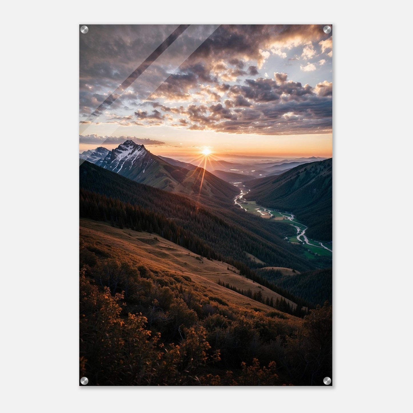 Acrylic Print