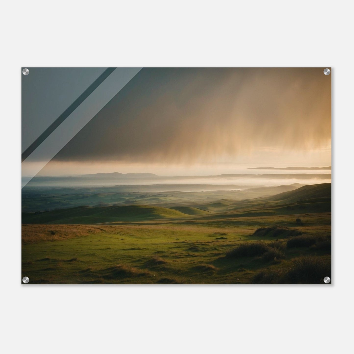 Acrylic Print