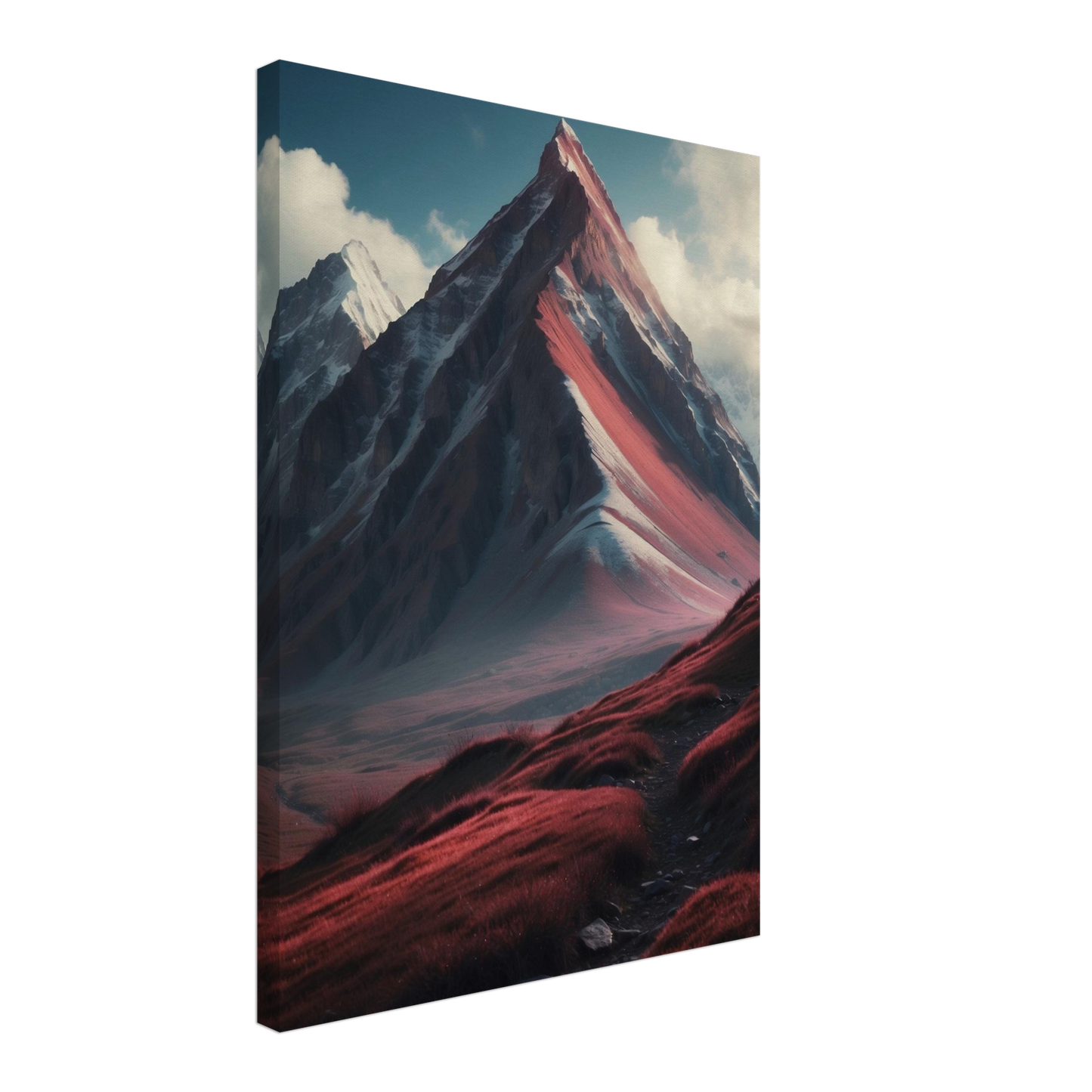 Canvas
