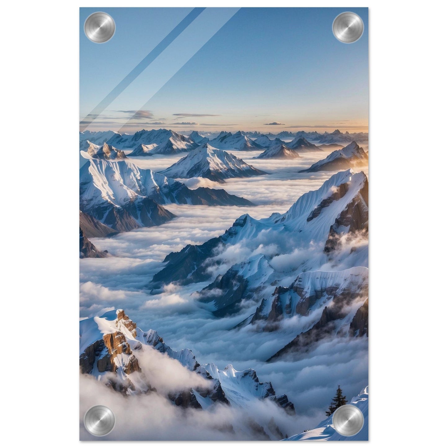 Acrylic Print