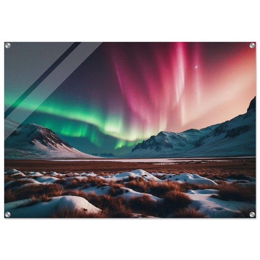 Acrylic Print