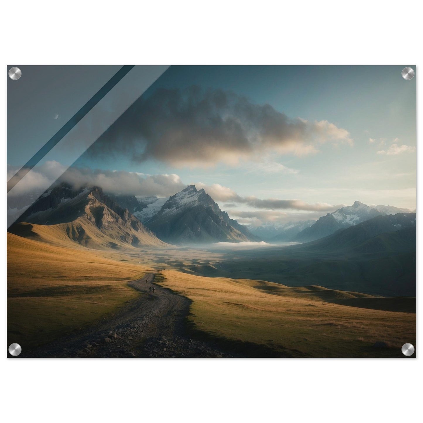 Acrylic Print