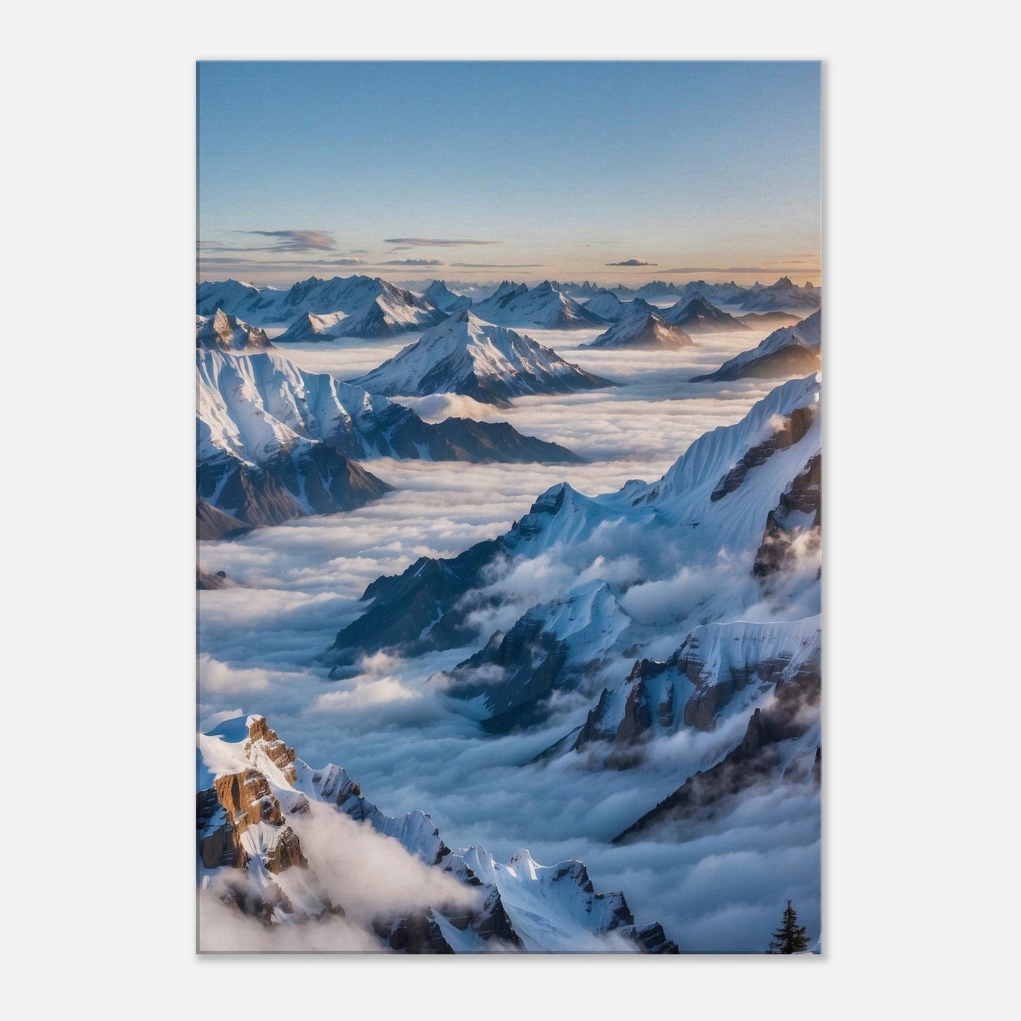 Canvas
