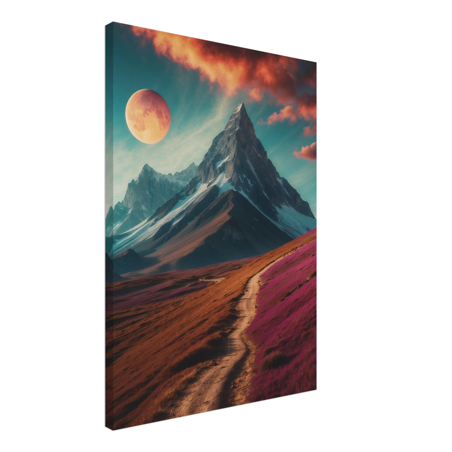 Canvas