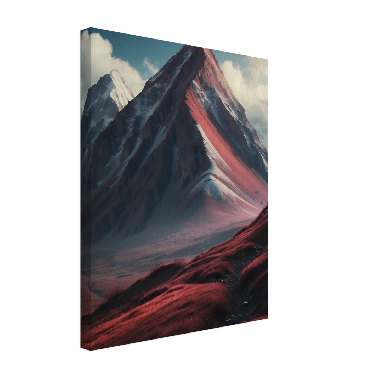 Canvas