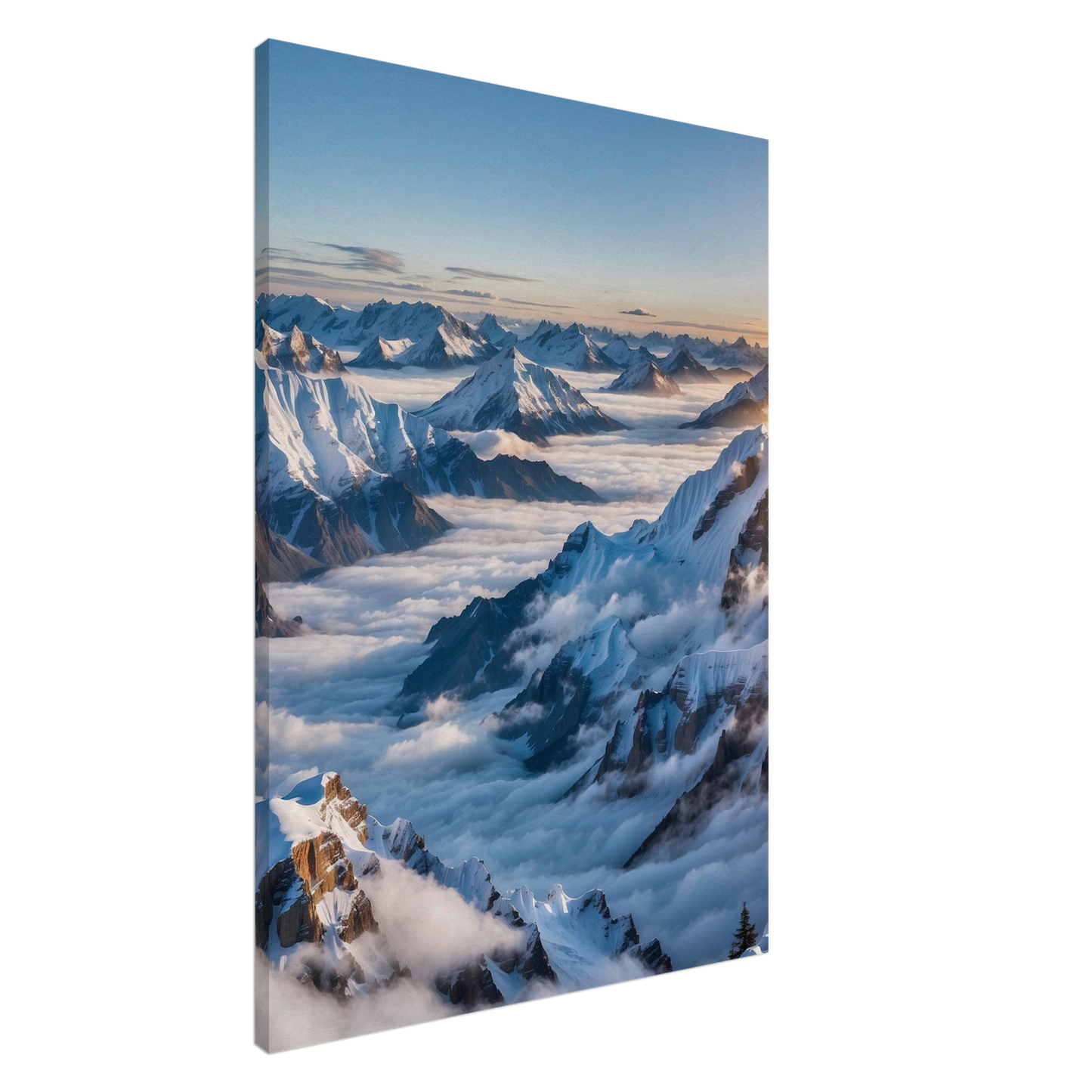 Canvas