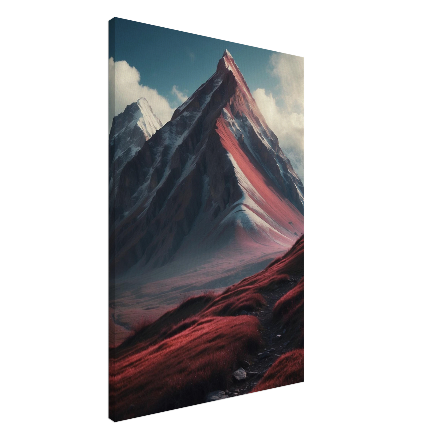 Canvas