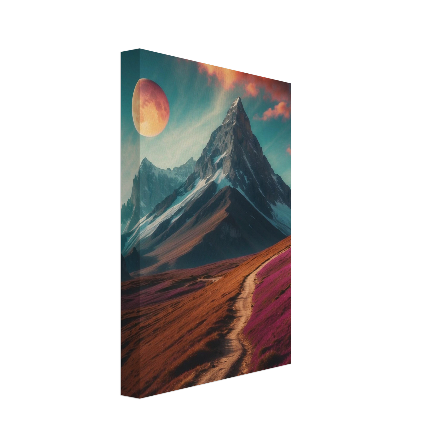 Canvas
