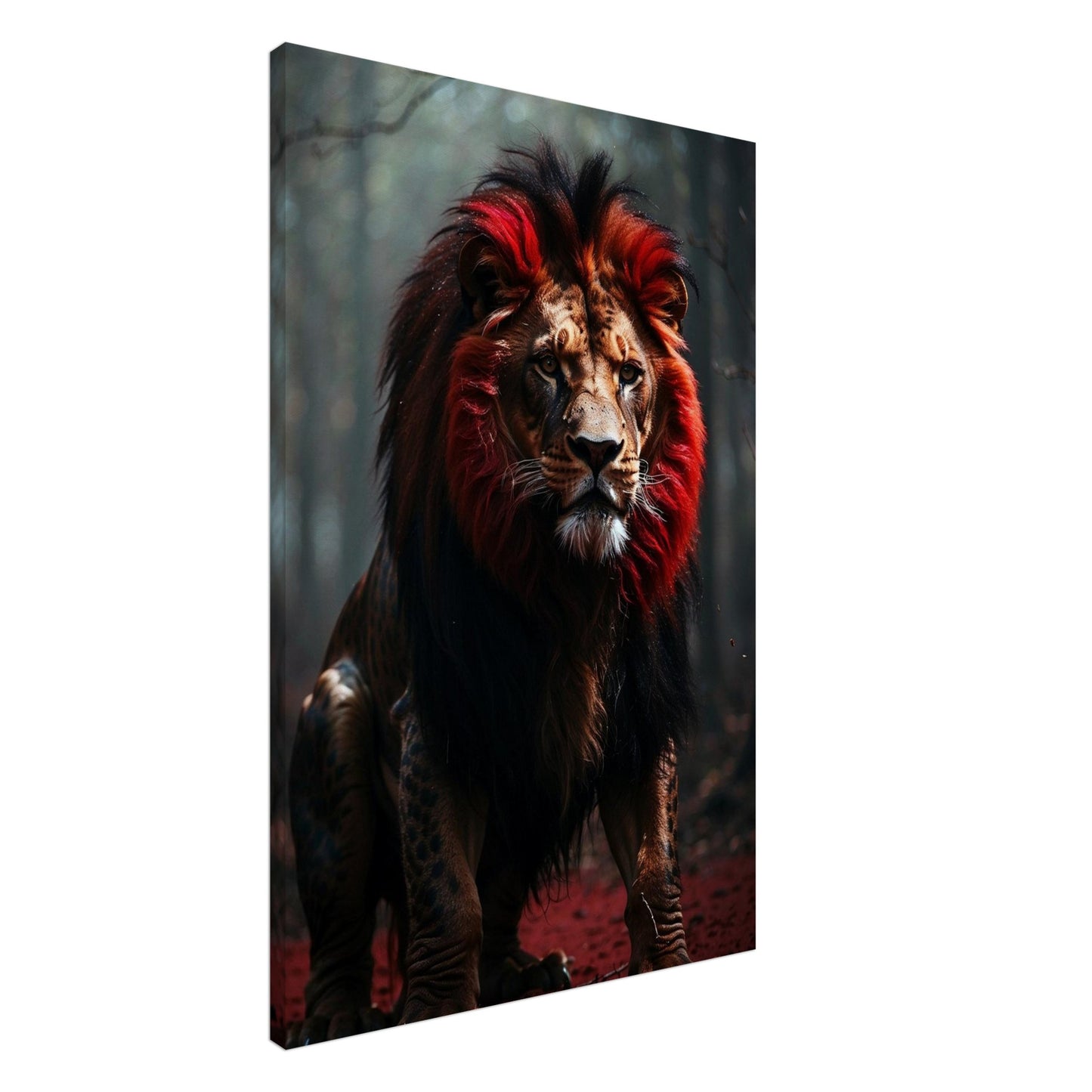 Canvas