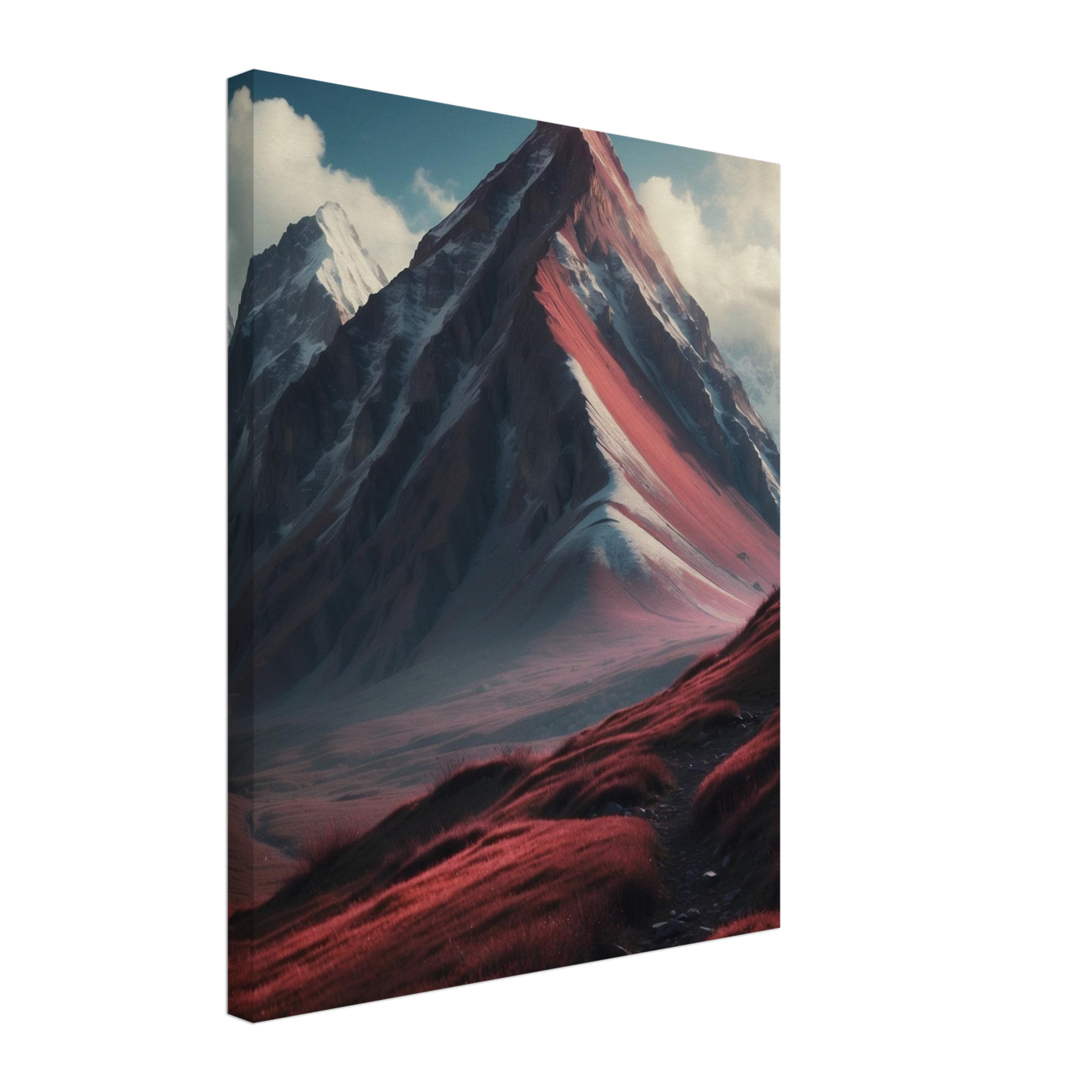 Canvas