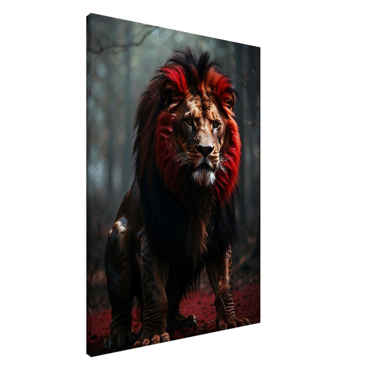 Canvas