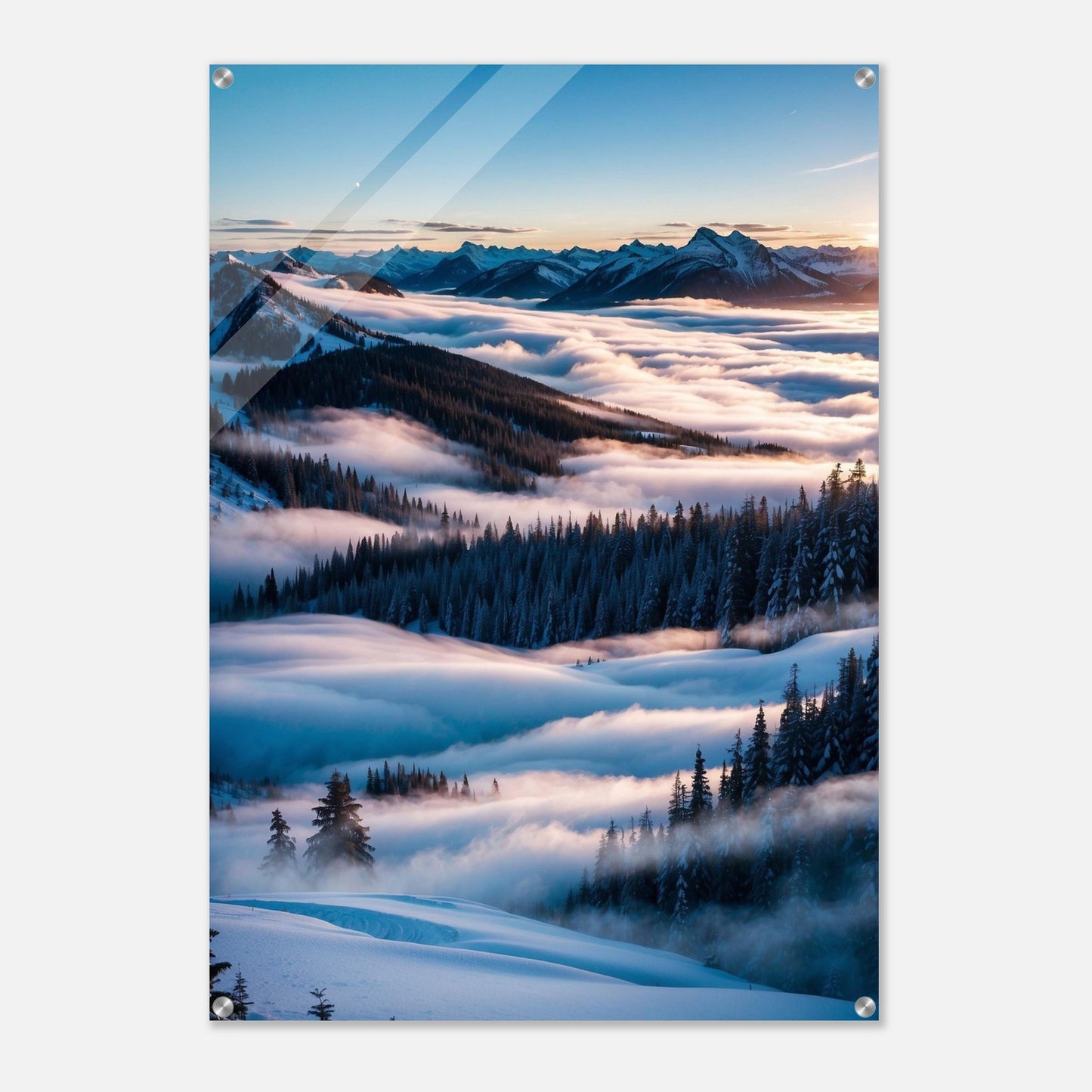 Acrylic Print