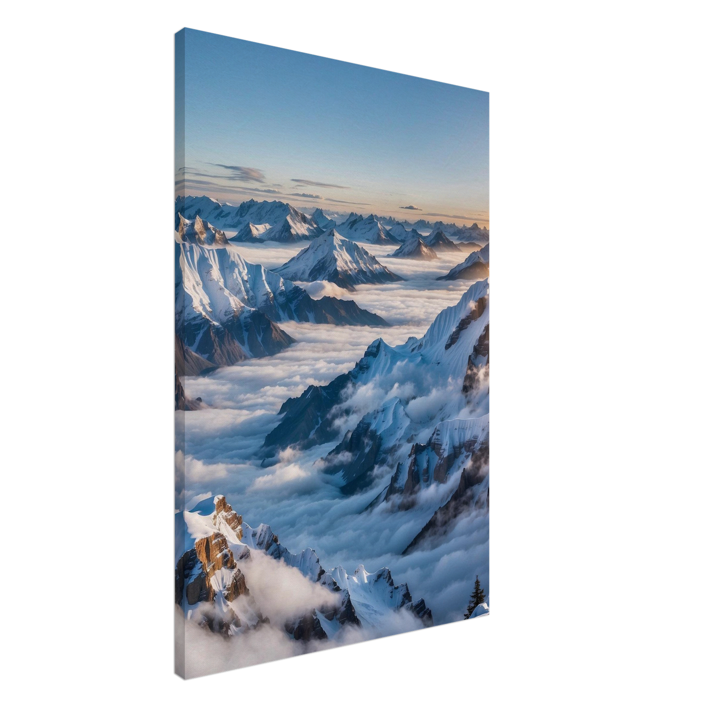Canvas